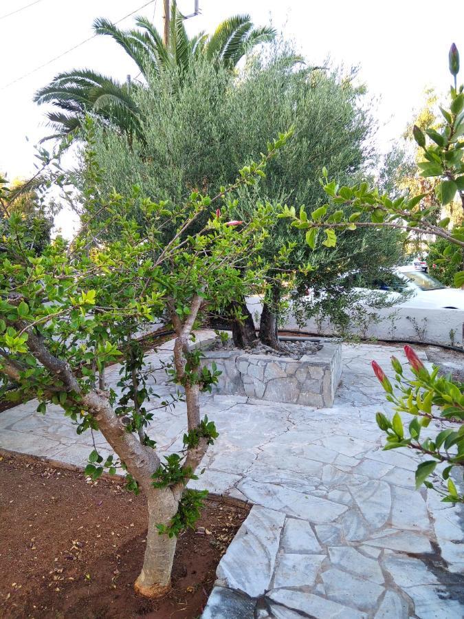 Apartment Cretanvibes Hersonissos (Crete)