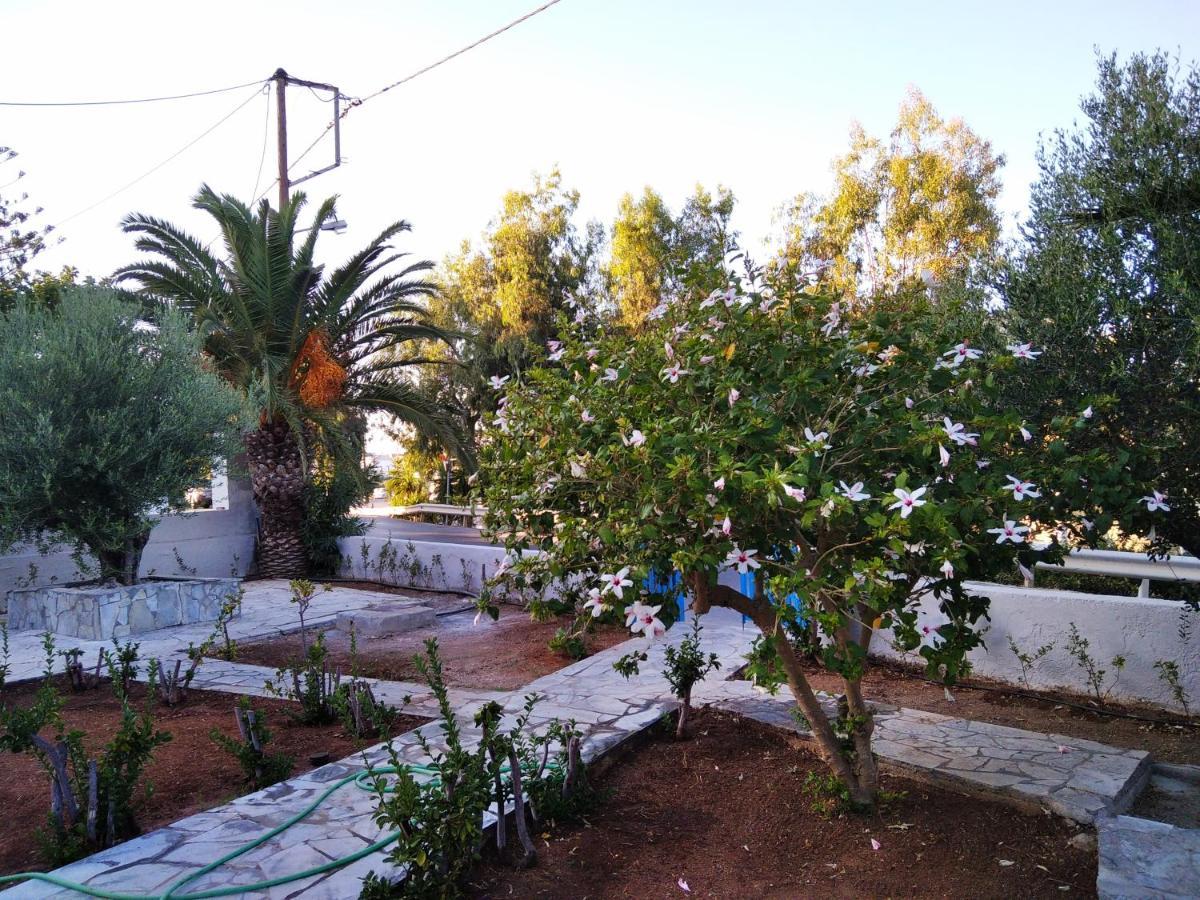 Cretanvibes * Hersonissos (Crete)
